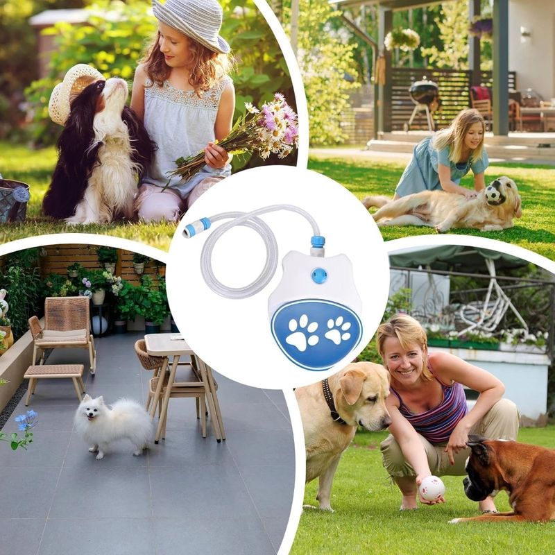 Zoomtopia Fontaine à Pédale pour chien