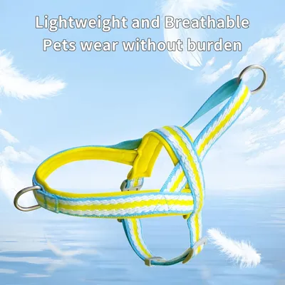 Zoomtopia Harnais stylé pour chien