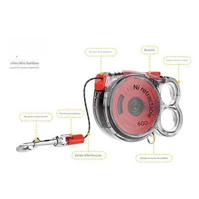 Pawzy Laisse rétractable pour chien
