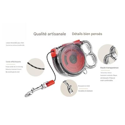 Pawzy Laisse rétractable pour chien