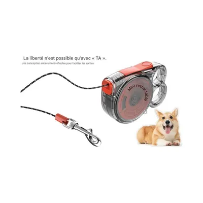 Pawzy Laisse rétractable pour chien