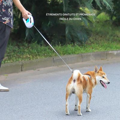Pawzy Corde de traction pour animaux