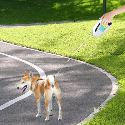 Pawzy Corde de traction pour animaux