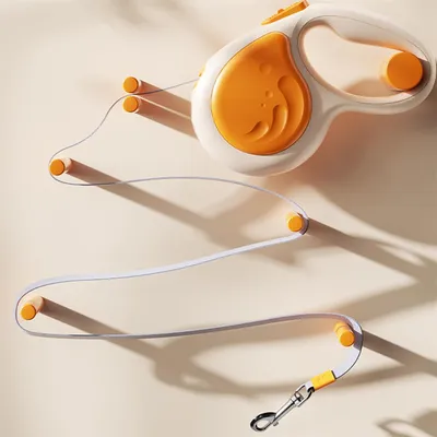 Rocky Laisse pour animaux de compagnie