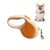 Rocky Laisse pour animaux de compagnie