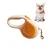 Rocky Laisse pour animaux de compagnie Rocky Laisse pour animaux de compagnie
