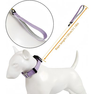 Zoomtopia ollier - Laisse 2 - en - 1 pour chien