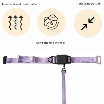 Zoomtopia ollier - Laisse 2 - en - 1 pour chien