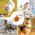 Zoomtopia Laisse rétractable pour chien