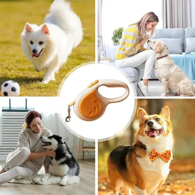 Zoomtopia Laisse rétractable pour chien