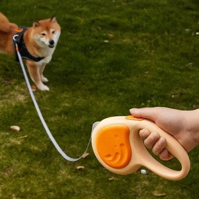 Zoomtopia Laisse rétractable pour chien