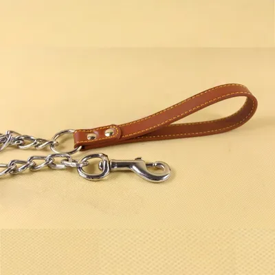 Zoomtopia Laisse pro pour chien