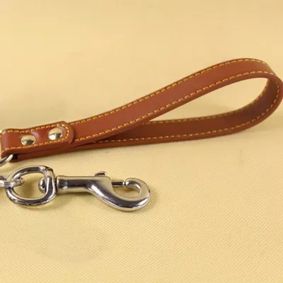 Zoomtopia Laisse pro pour chien