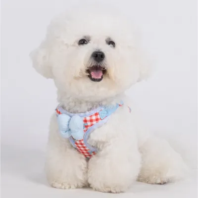 Zoomtopia Harnais de mode pour chien