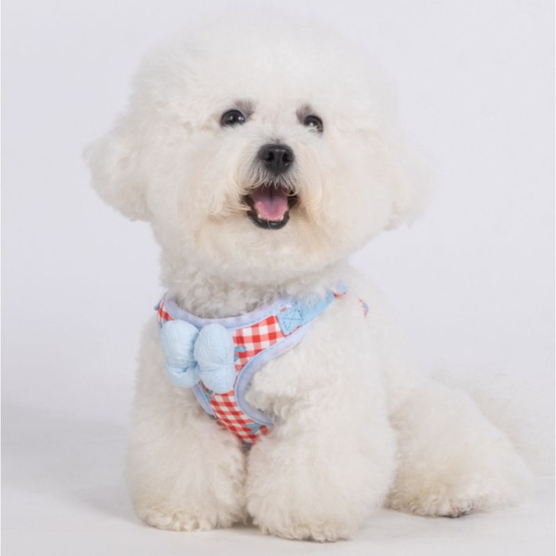 Zoomtopia Harnais de mode pour chien