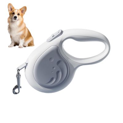 Rocky Laisse pour animaux de compagnie