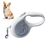 Rocky Laisse pour animaux de compagnie