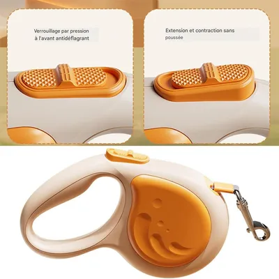 Rocky Laisse pour animaux de compagnie