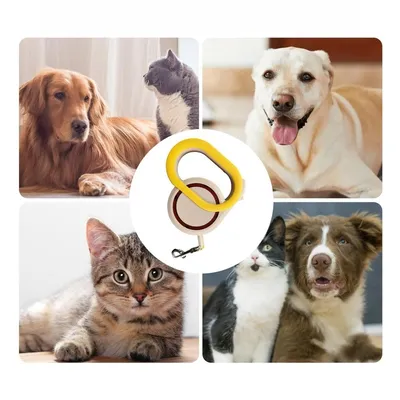 Zoomtopia Laisse rétractable pour animaux