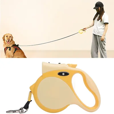 Rocky Laisse rétractable pour chien