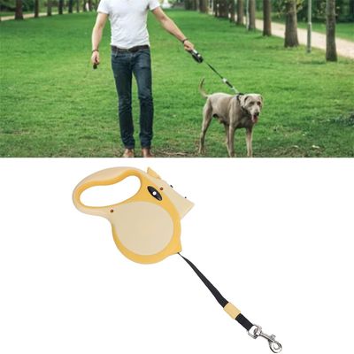 Rocky Laisse rétractable pour chien