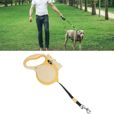 Rocky Laisse rétractable pour chien