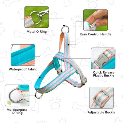 Zoomtopia Harnais stylé pour chien
