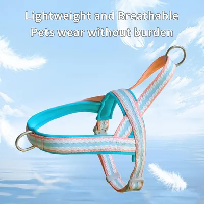 Zoomtopia Harnais stylé pour chien