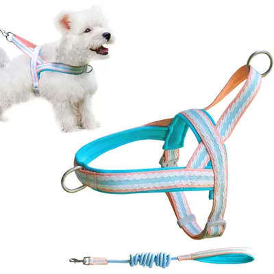 Zoomtopia Harnais stylé pour chien