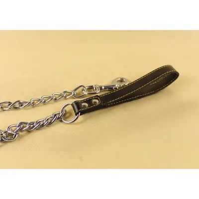 Zoomtopia Laisse pro pour chien