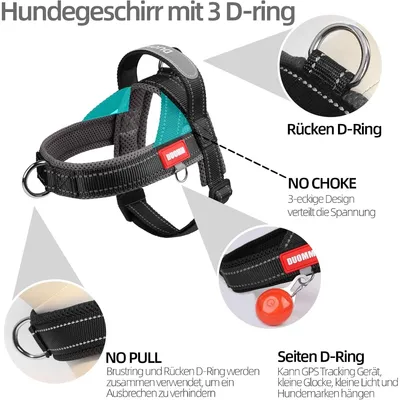 Zoomtopia Harnais sécuritaire 3 en 2 pour animaux