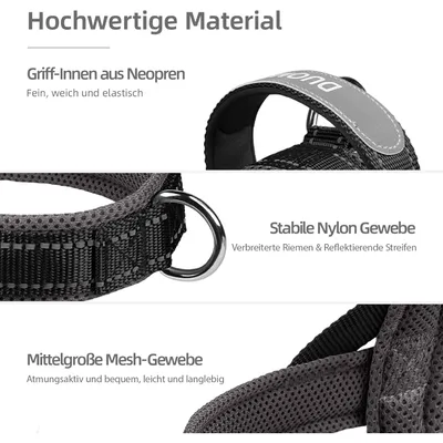 Zoomtopia Harnais sécuritaire 3 en 2 pour animaux