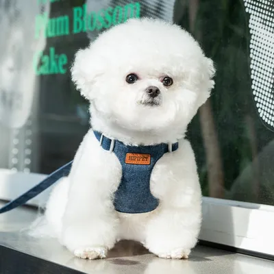 Zoomtopia Harnais ultra - léger pour chien