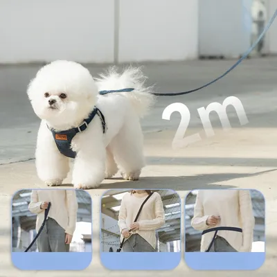 Zoomtopia Harnais ultra - léger pour chien