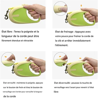 Rocky Ruban rétractable pour chien