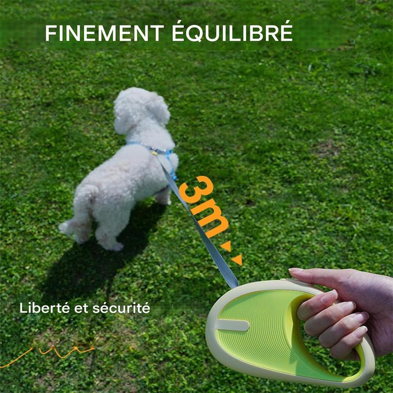 Rocky Ruban rétractable pour chien