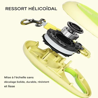 Rocky Ruban rétractable pour chien