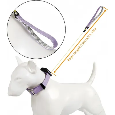 Zoomtopia ollier - Laisse 2 - en - 1 pour chien