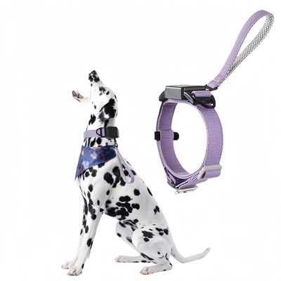Zoomtopia ollier - Laisse 2 - en - 1 pour chien