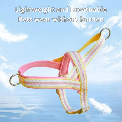 Zoomtopia Harnais stylé pour chien