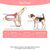 Zoomtopia Harnais stylé pour chien