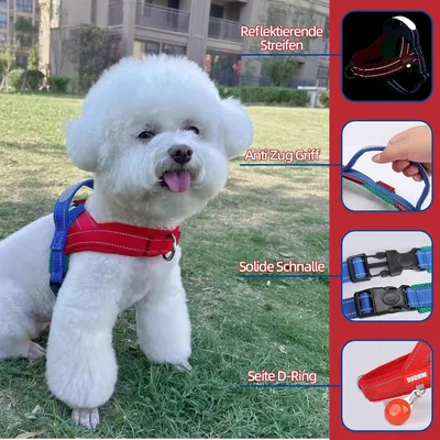 Zoomtopia Harnais sécuritaire 3 en 1 pour animaux