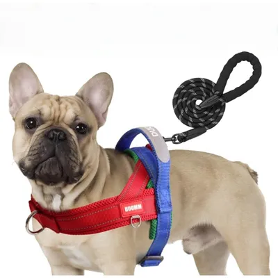 Zoomtopia Harnais sécuritaire 3 en 1 pour animaux Zoomtopia Harnais sécuritaire 3 en 1 pour animaux