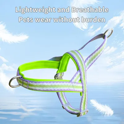 Zoomtopia Harnais stylé pour chien