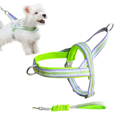 Zoomtopia Harnais stylé pour chien Zoomtopia Harnais stylé pour chien
