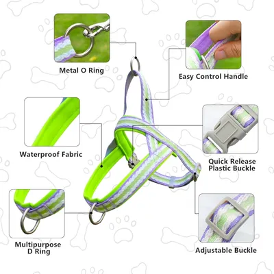 Zoomtopia Harnais stylé pour chien