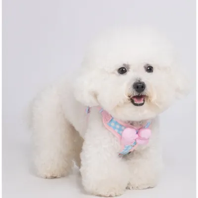 Zoomtopia Harnais de mode pour chien