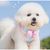 Zoomtopia Harnais de mode pour chien