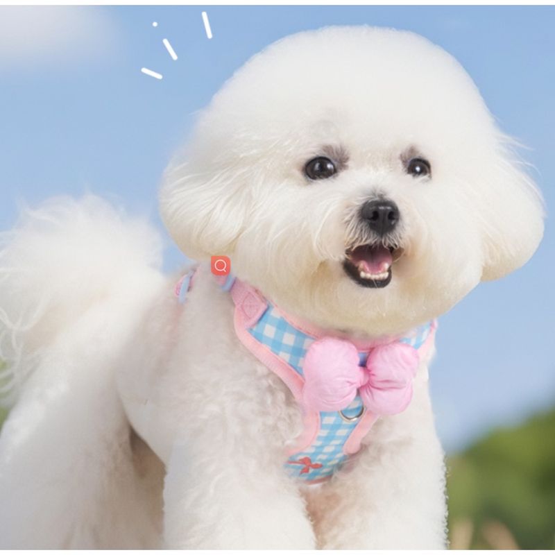 Zoomtopia Harnais de mode pour chien