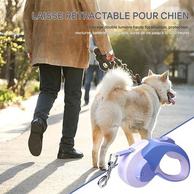 Rocky Laisse rétractable pour chien